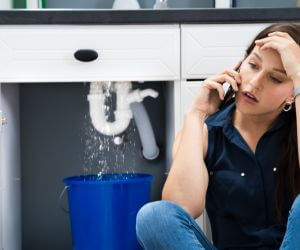 About Emergency plumbing pros Horseshoe Beach, FL